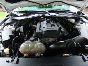 DSC00819