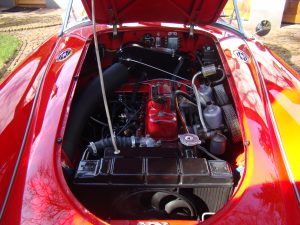 DSC01195 – kopie DSC01195 – kopie