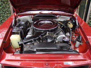 DSC01252 – kopie DSC01252 – kopie